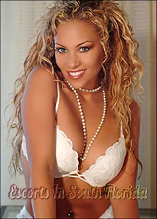 Archived South Florida photograph 112